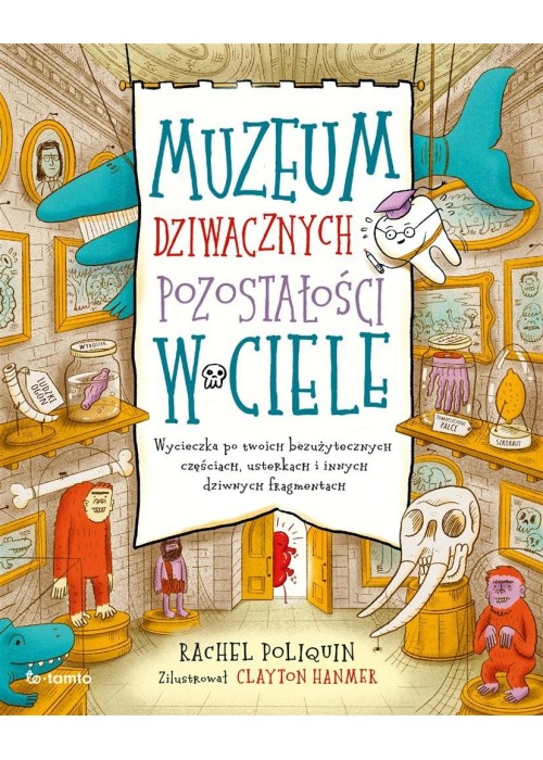 Muzeum dziwacznych pozostałości w ciele