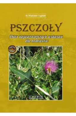 Pszczoły. Zbiór najważniejszych wskazań dla... A4