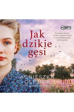 Jak dzikie gęsi audiobook