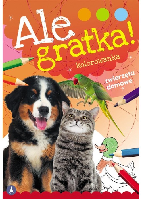 Ale gratka! Zwierzęta domowe