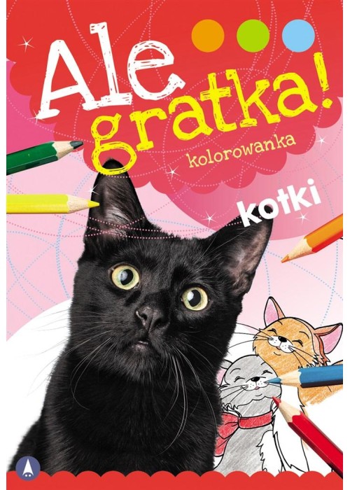 Ale gratka! Kotki Ale gratka! Kotki