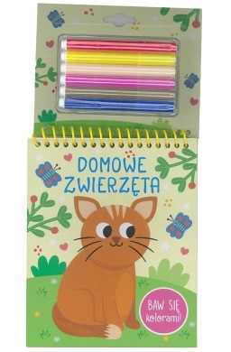 Baw się kolorami! Domowe zwierzęta