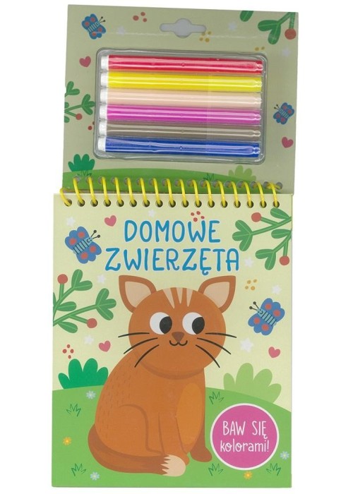 Baw się kolorami! Domowe zwierzęta