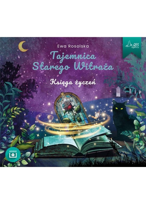 Tajemnica Starego Witraża. Księga życzeń audiobook