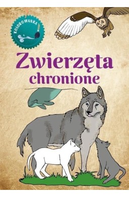 Kolorowanka Zwierzęta Chronione