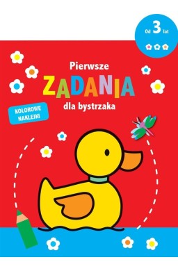 Pierwsze zadania dla bystrzaka