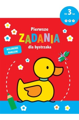 Pierwsze zadania dla bystrzaka