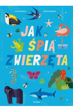 Jak śpią zwierzęta