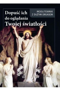 Dopuść ich do oglądania Twojej światłości