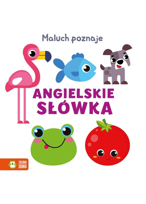 Maluch poznaje. Angielskie słówka Maluch poznaje. Angielskie słówka
