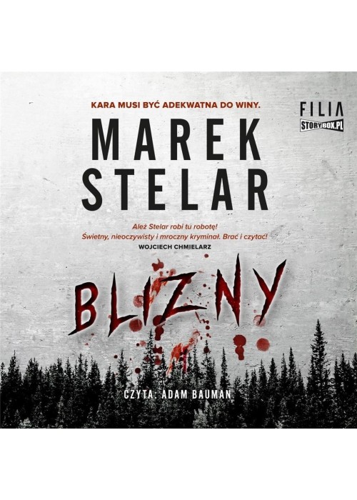 Blizny audiobook