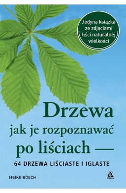 Drzewa jak je rozpoznawać po liściach