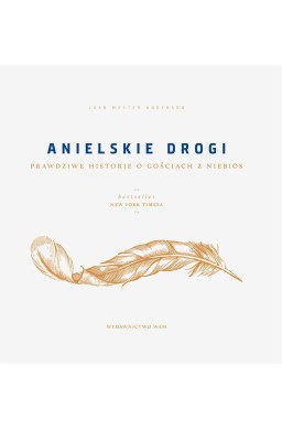 Anielskie drogi. Prawdziwe historie o gościach...