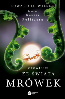 Opowieści ze świata mrówek w.2024