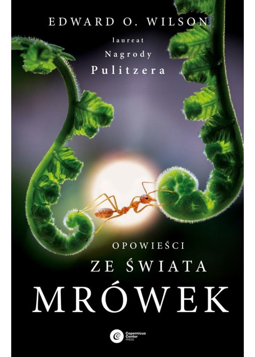 Opowieści ze świata mrówek w.2024