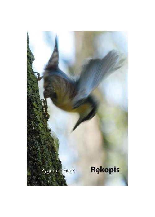 Rękopis