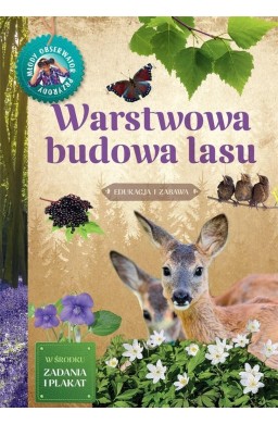 Młody Obserwator Przyrody. Warstwowa budowa lasu