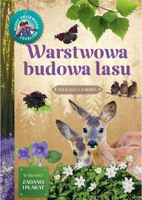 Młody Obserwator Przyrody. Warstwowa budowa lasu