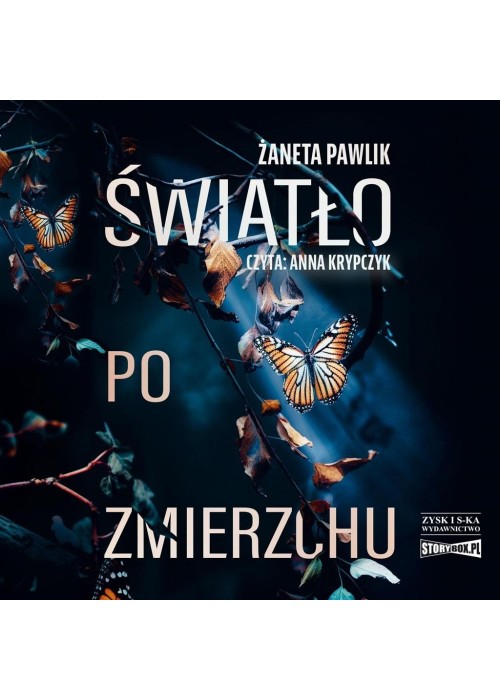 Światło po zmierzchu audiobook