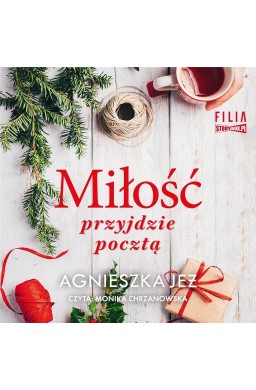 Miłość przyjdzie pocztą audiobook