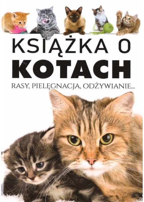 Książka o kotach. Rasy, pielęgnacja, odżywianie