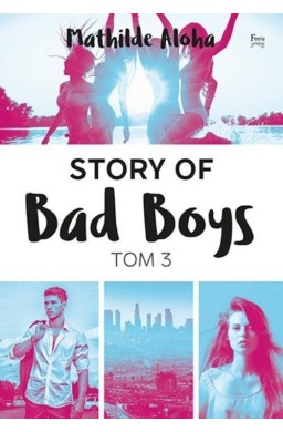 Story of Bad Boys T.3