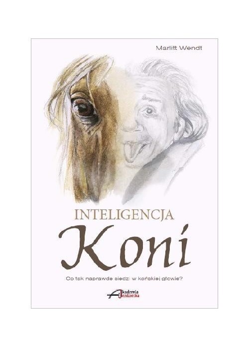 Inteligencja koni