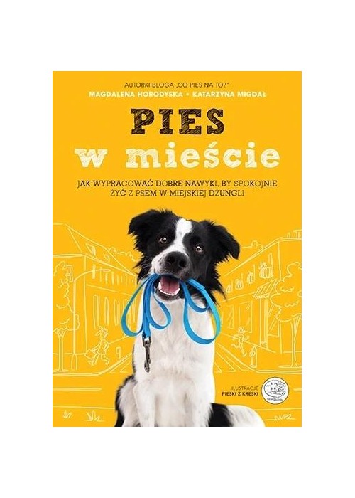 Pies w mieście