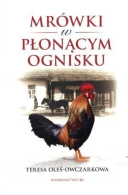 Mrówki w płonącym ognisku