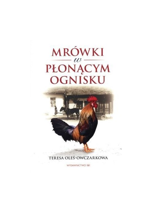 Mrówki w płonącym ognisku