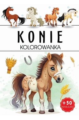 Kolorowanka. Konie