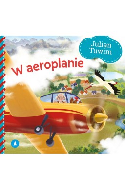 W aeroplanie