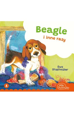 Beagle i inne rasy