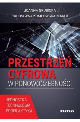 Przestrzeń cyfrowa w ponowoczesności