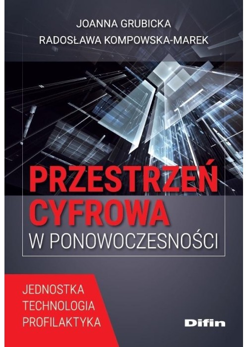 Przestrzeń cyfrowa w ponowoczesności