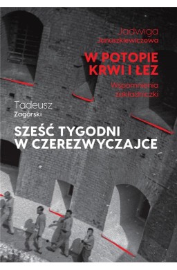 W potopie krwi i łez