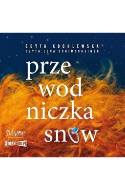 Przewodniczka snów audiobook