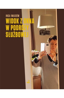 Widok z okna w podróży służbowej