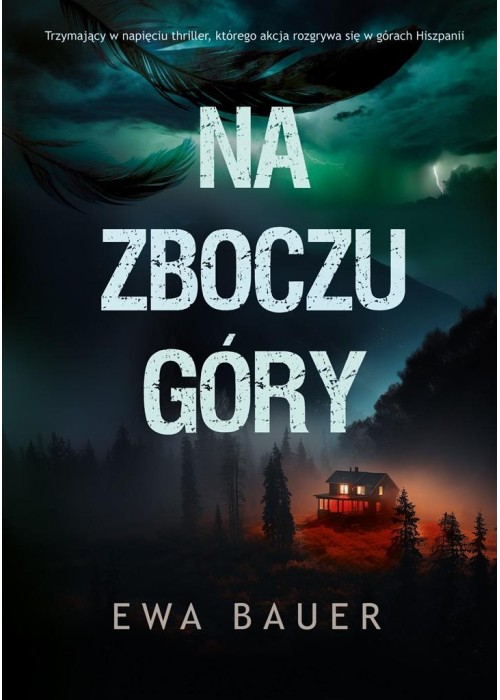 Na zboczu góry