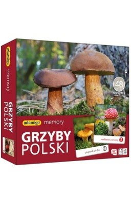 Grzyby Polski