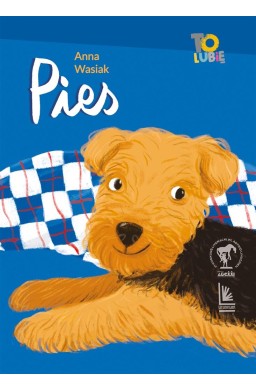 Pies