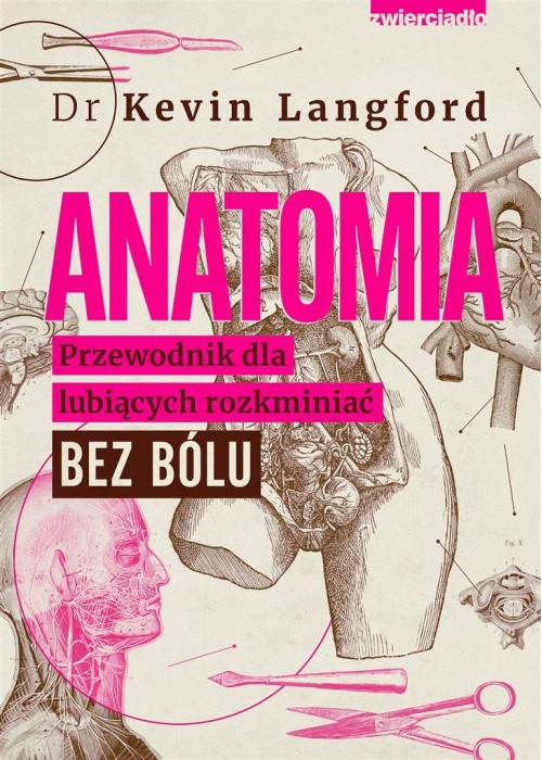 Anatomia. Przewodnik dla lubiących rozkminiać..