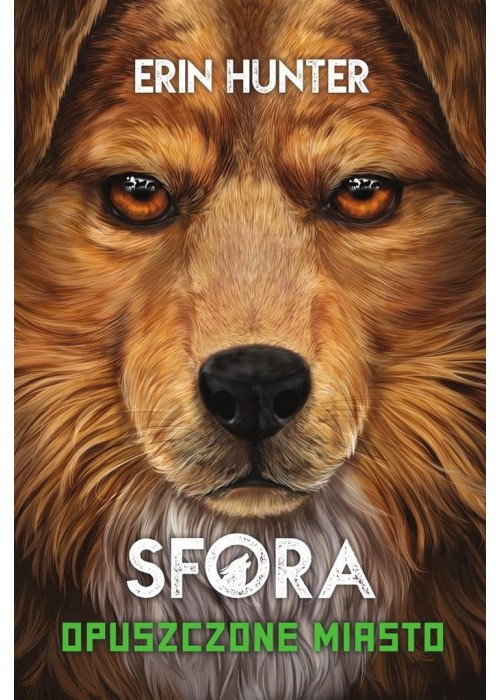 Sfora T.1 Opuszczone miasto