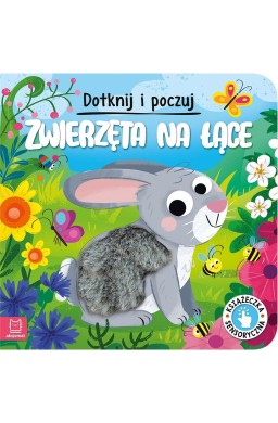 Dotknij i poczuj. Zwierzęta na łące.