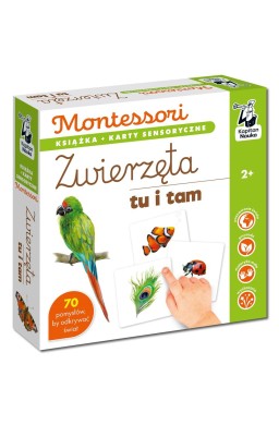 Montessori. Zwierzęta tu i tam. Karty sensoryczne