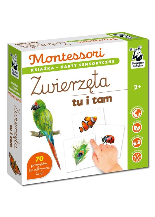 Montessori. Zwierzęta tu i tam. Karty sensoryczne