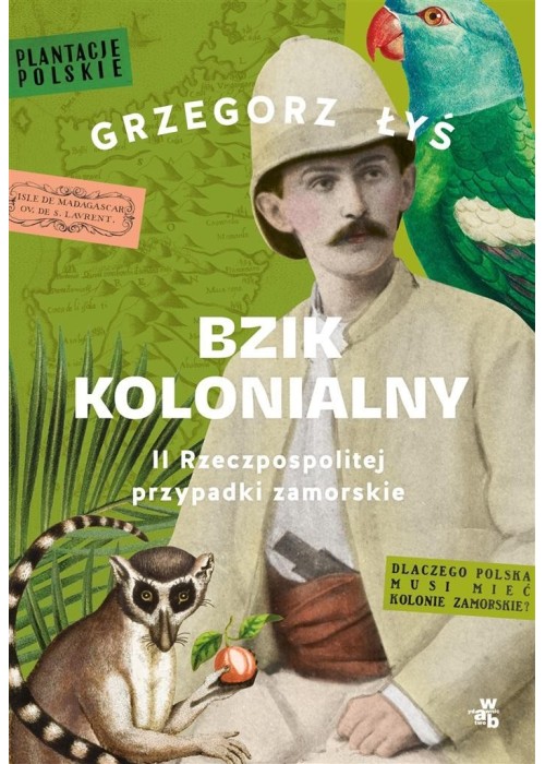 Bzik kolonialny. II Rzeczpospolitej przypadki..