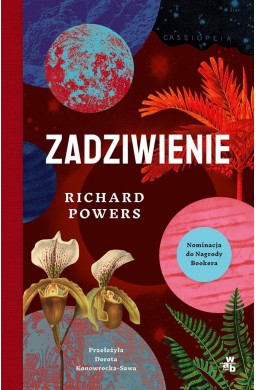 Zadziwienie