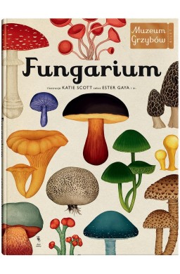 W Muzeum. Fungarium. Muzeum Grzybów