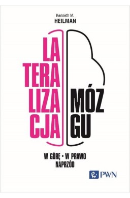 Lateralizacja mózgu. W górę, w prawo, naprzód